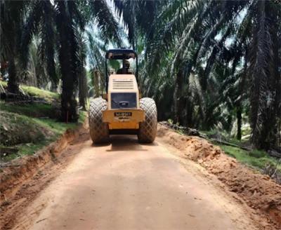 সয়েল স্টেবিলাইজার MST10 এর ভূমিকা